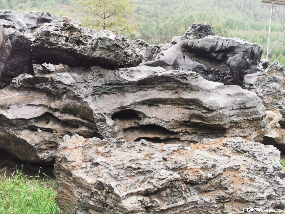 风景石、假山石大量有货,有需要的欢迎联系 - 新手上路 - 商洛生活社区 - 商洛28生活网 sl.28life.com