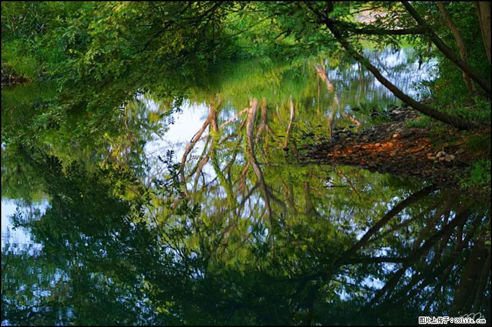 【春天,广西桂林灌阳县向您发出邀请!】熊家寨湿地公园 - 游山玩水 - 商洛生活社区 - 商洛28生活网 sl.28life.com