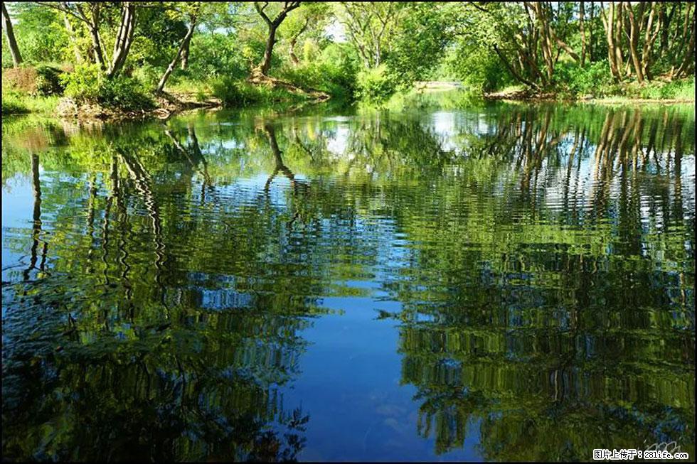 【春天,广西桂林灌阳县向您发出邀请!】熊家寨湿地公园 - 游山玩水 - 商洛生活社区 - 商洛28生活网 sl.28life.com