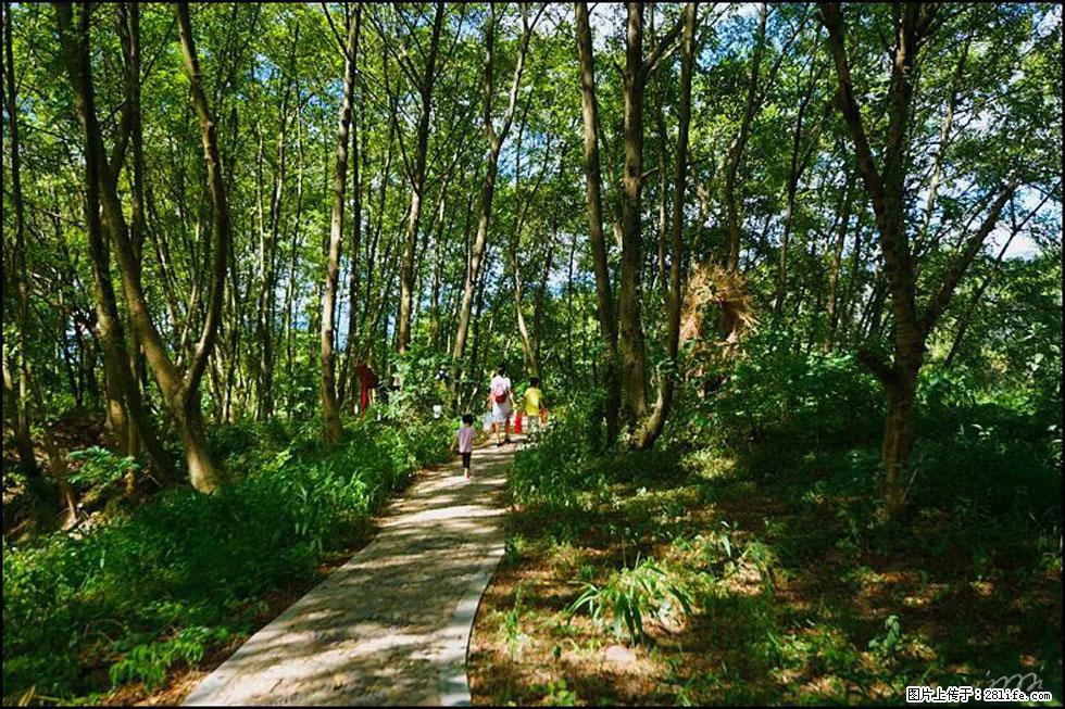 【春天,广西桂林灌阳县向您发出邀请!】熊家寨湿地公园 - 游山玩水 - 商洛生活社区 - 商洛28生活网 sl.28life.com