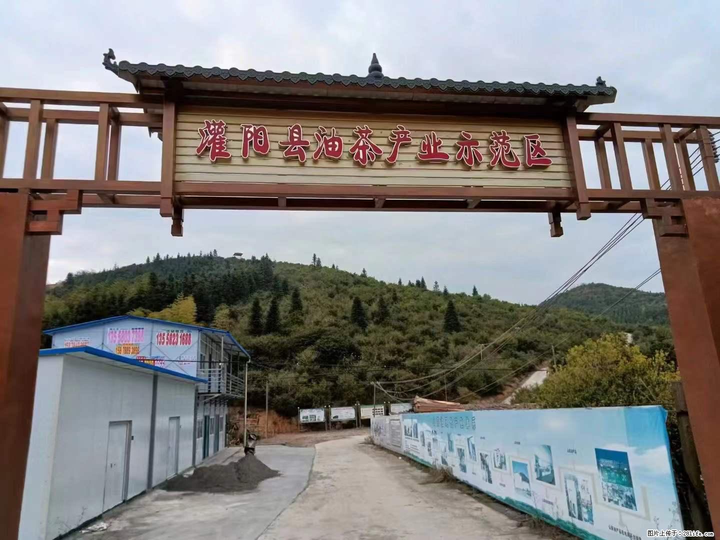 【灌阳县油茶产业示范区】一个有着充实的精神生活的人,对待身外之物自会有一种淡泊的态度 - 美食天地 - 商洛生活社区 - 商洛28生活网 sl.28life.com