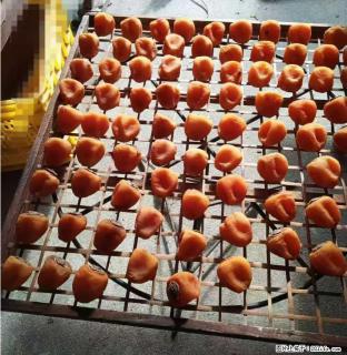 广西桂林平乐桥亭【柿饼之乡】2025年纯手工制作、无任何添加剂的第一批柿饼准备上市了，欢迎联系订购！ - 商洛28生活网 sl.28life.com