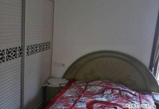 大都汇精装房850/月家具齐全拎包入住 - 商洛28生活网 sl.28life.com