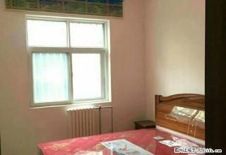 出租新市政府附近 2室暖气房 家具全拎包住 900/月 - 商洛28生活网 sl.28life.com