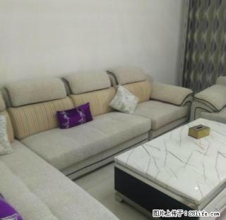出租金岸小区 3室精装房 家具全拎包住 900 - 商洛28生活网 sl.28life.com