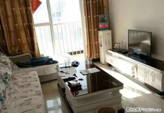 新政府附近两室精装双气到户 - 商洛28生活网 sl.28life.com