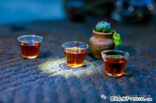 时间果百年古树2025年春红茶 - 购物交流 - 商洛生活社区 - 商洛28生活网 sl.28life.com