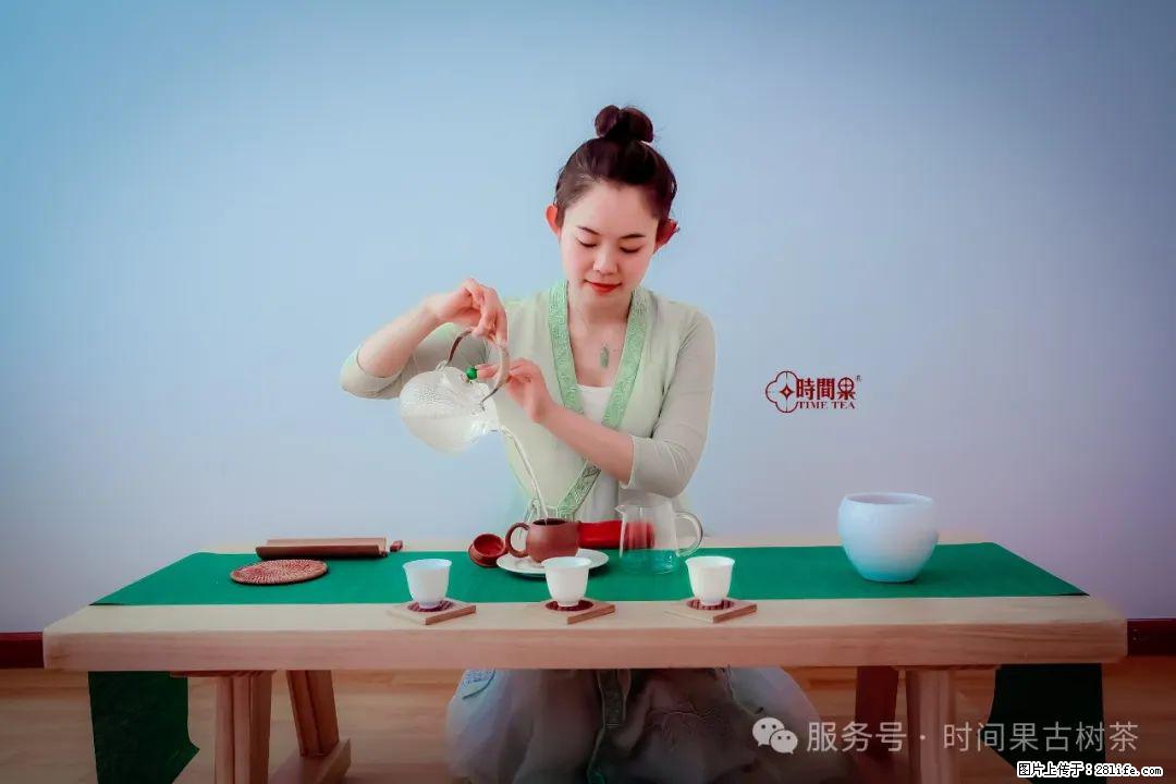 时间果百年古树龙珠普洱生茶 - 购物交流 - 商洛生活社区 - 商洛28生活网 sl.28life.com