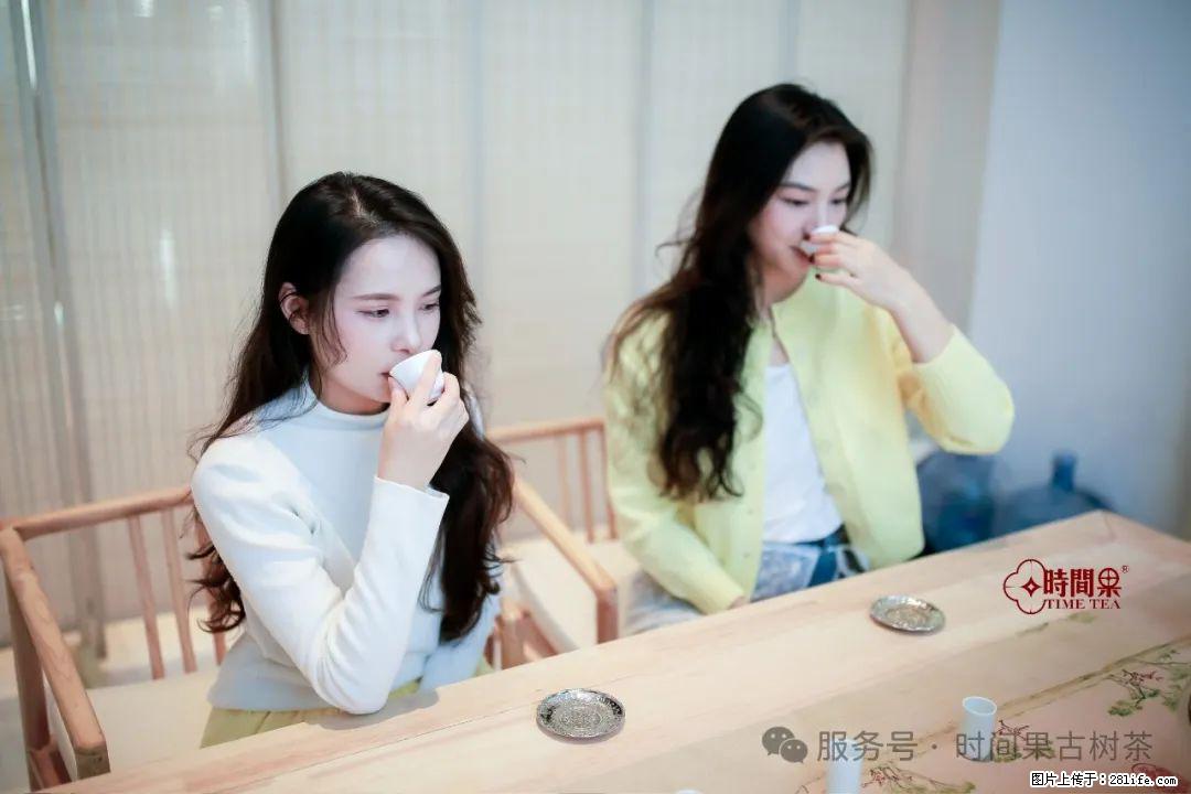 时间果百年古树龙珠普洱生茶 - 购物交流 - 商洛生活社区 - 商洛28生活网 sl.28life.com