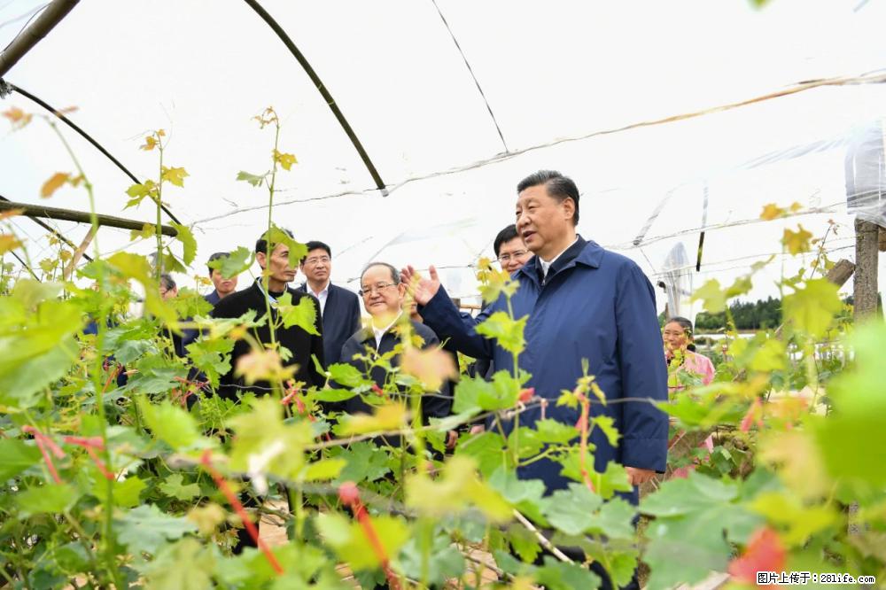 习近平赴广西考察调研 - 商洛生活资讯 - 商洛28生活网 sl.28life.com