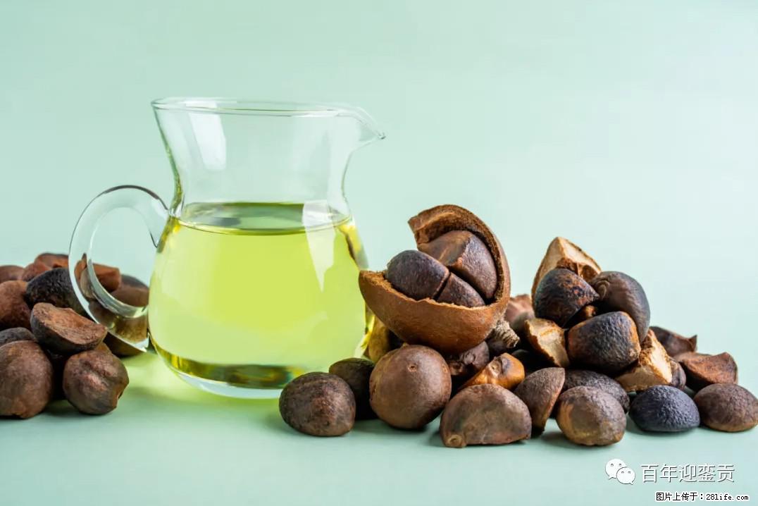 世界没有真相，只有认知，最好的食用油是中国的山茶油！ - 商洛生活资讯 - 商洛28生活网 sl.28life.com