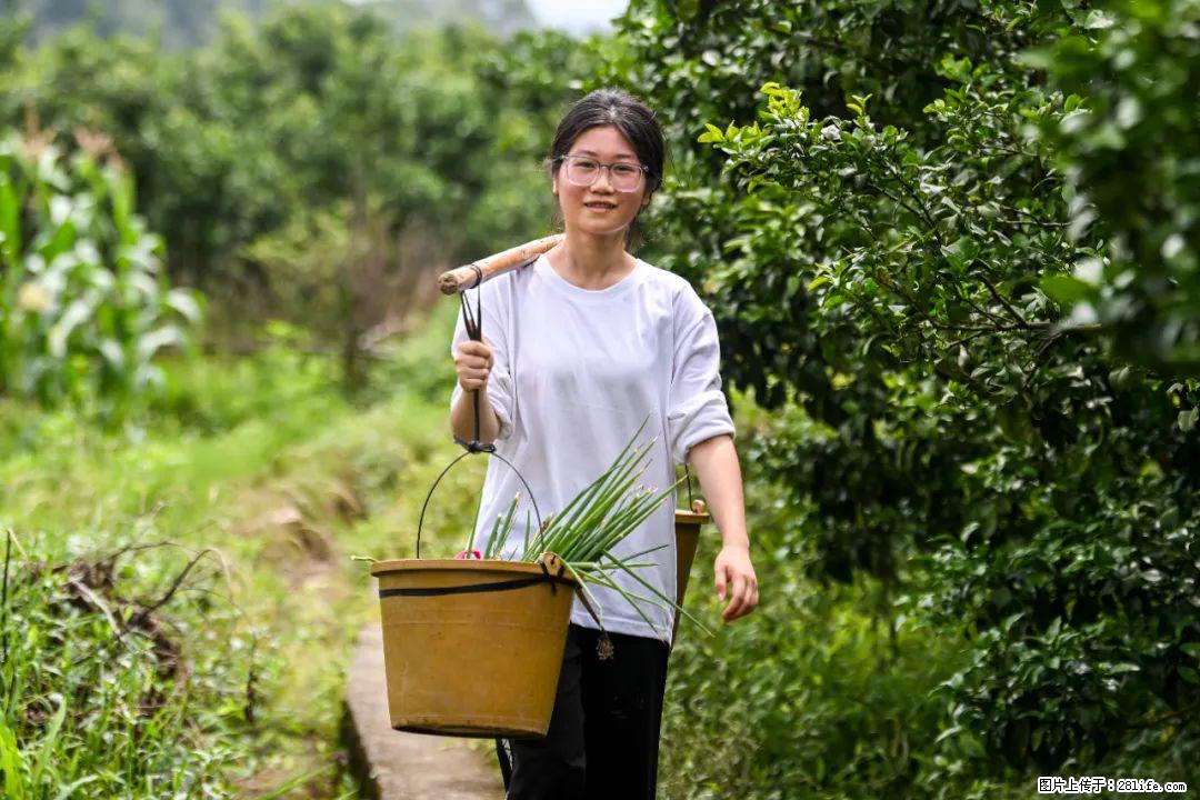 全网追的“扁担女孩”,找了一份暑假工,时薪12元 - 商洛生活资讯 - 商洛28生活网 sl.28life.com