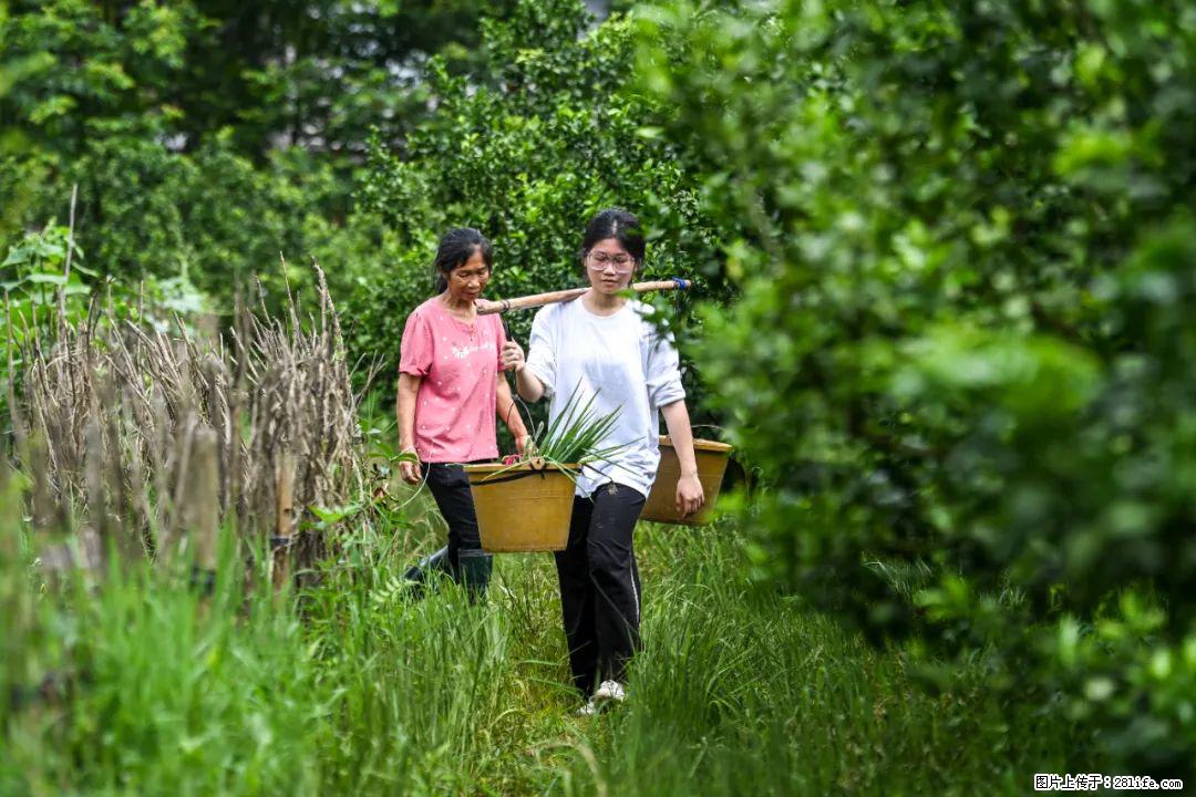 全网追的“扁担女孩”,找了一份暑假工,时薪12元 - 商洛生活资讯 - 商洛28生活网 sl.28life.com
