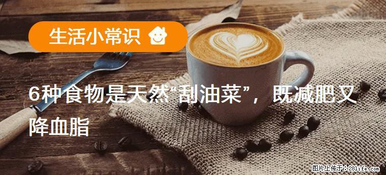 【生活小常识】6种食物是天然“刮油菜”,既减肥又降血脂 - 商洛生活资讯 - 商洛28生活网 sl.28life.com