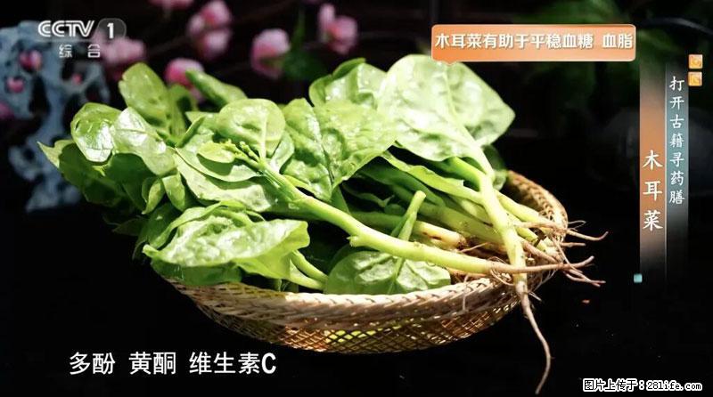 比牛奶补钙还厉害！凉血解毒、稳血糖...这菜冬天必吃，很多人却当草 - 商洛生活资讯 - 商洛28生活网 sl.28life.com