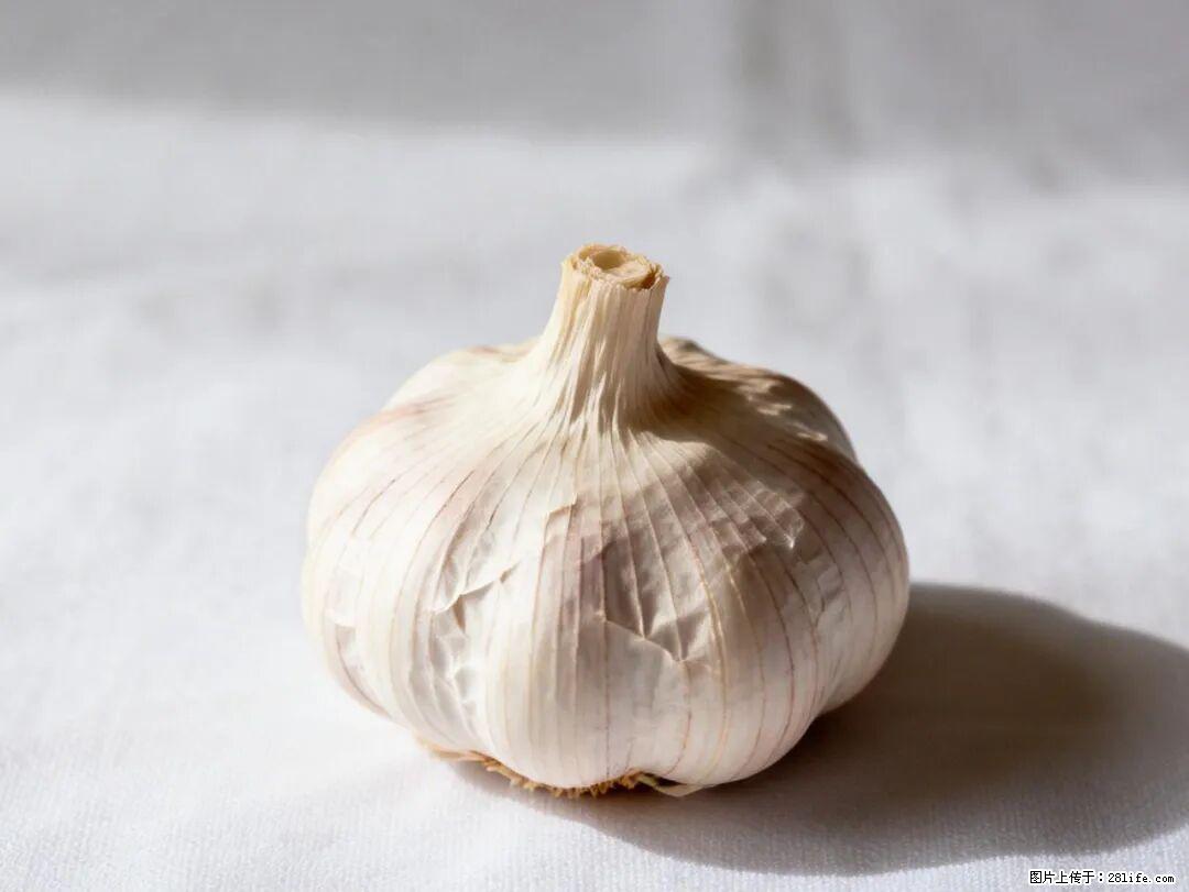 关于大蒜,除了“天然抗生素”,这4个谣言更该警惕! - 商洛生活资讯 - 商洛28生活网 sl.28life.com