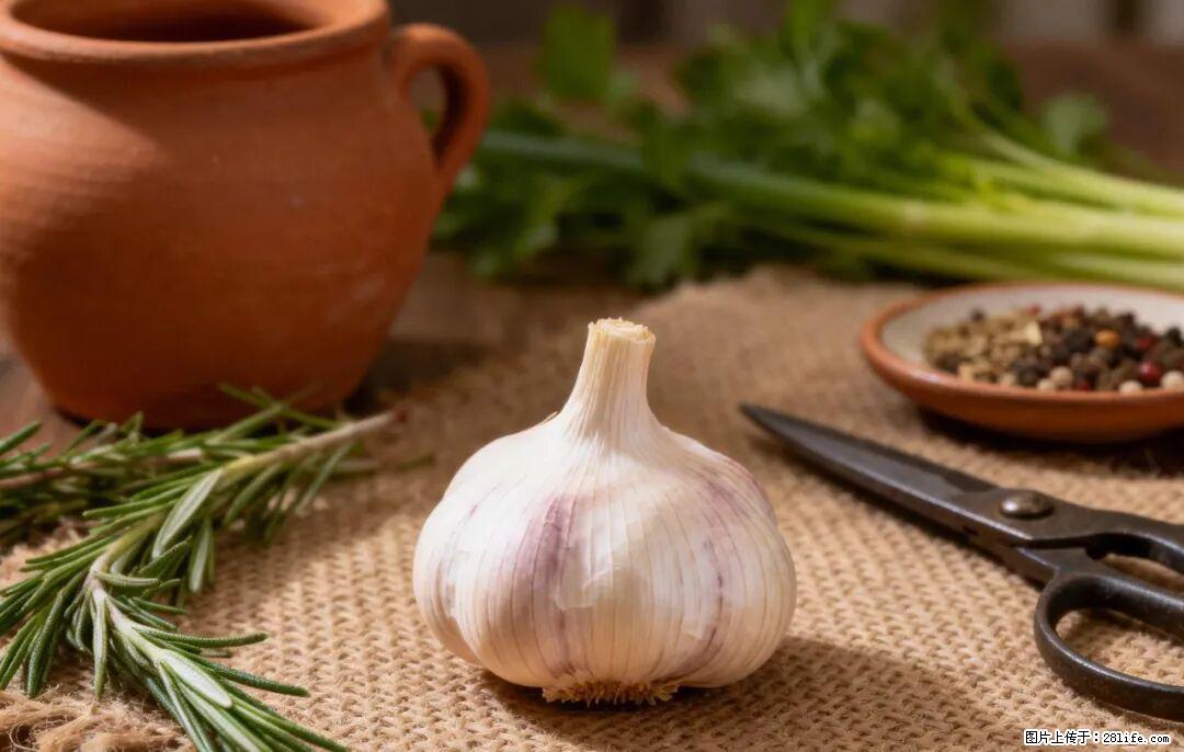 关于大蒜,除了“天然抗生素”,这4个谣言更该警惕! - 商洛生活资讯 - 商洛28生活网 sl.28life.com