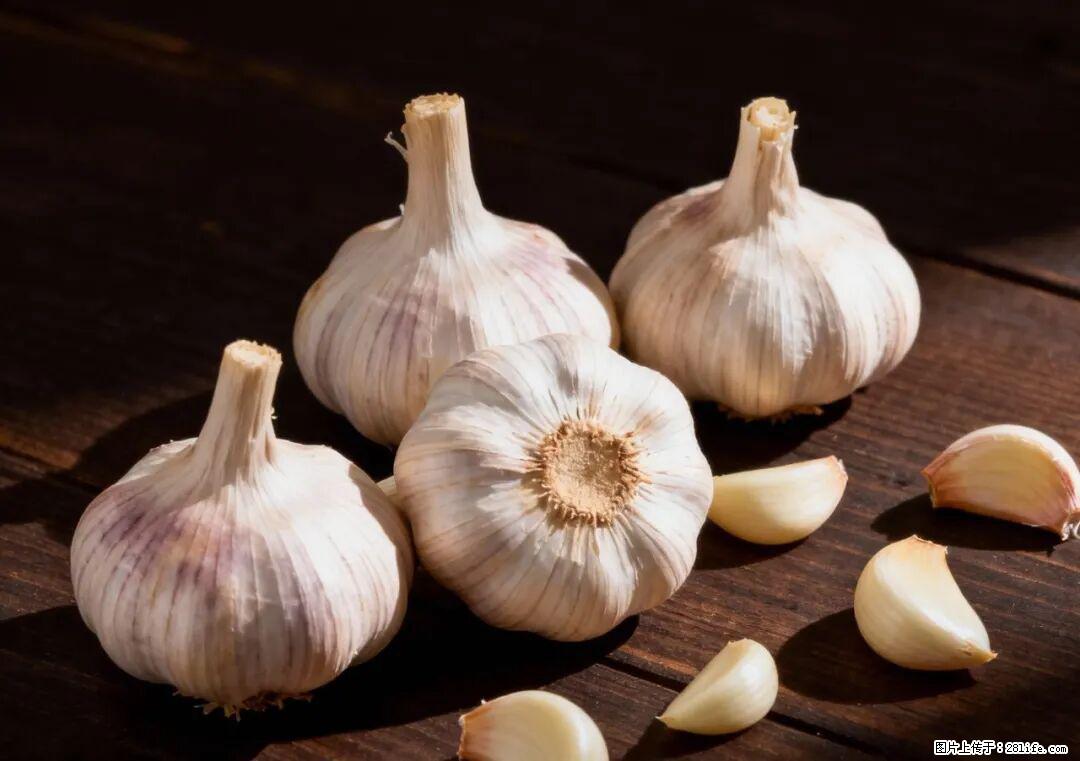 关于大蒜,除了“天然抗生素”,这4个谣言更该警惕! - 商洛生活资讯 - 商洛28生活网 sl.28life.com