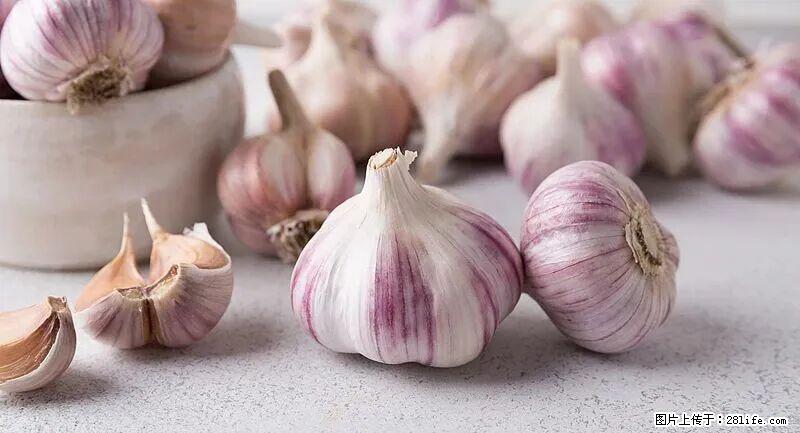 抗菌消炎、护肝健脾!这种“天然青霉素”就在你家餐桌上,春季吃正合适 - 商洛生活资讯 - 商洛28生活网 sl.28life.com