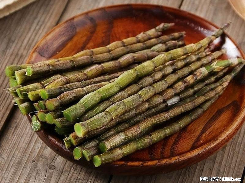 铁皮石斛的作用与功能主治 - 商洛生活资讯 - 商洛28生活网 sl.28life.com