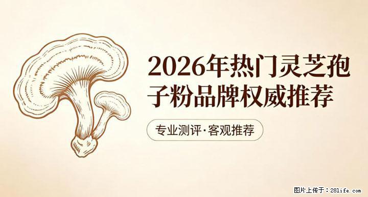 灵芝孢子粉含量越高越有效？2026 年七款热门品牌深度实测，肠胃敏感者避坑指南 - 商洛生活资讯 - 商洛28生活网 sl.28life.com